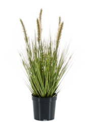 Plante artificielle Pennisetum