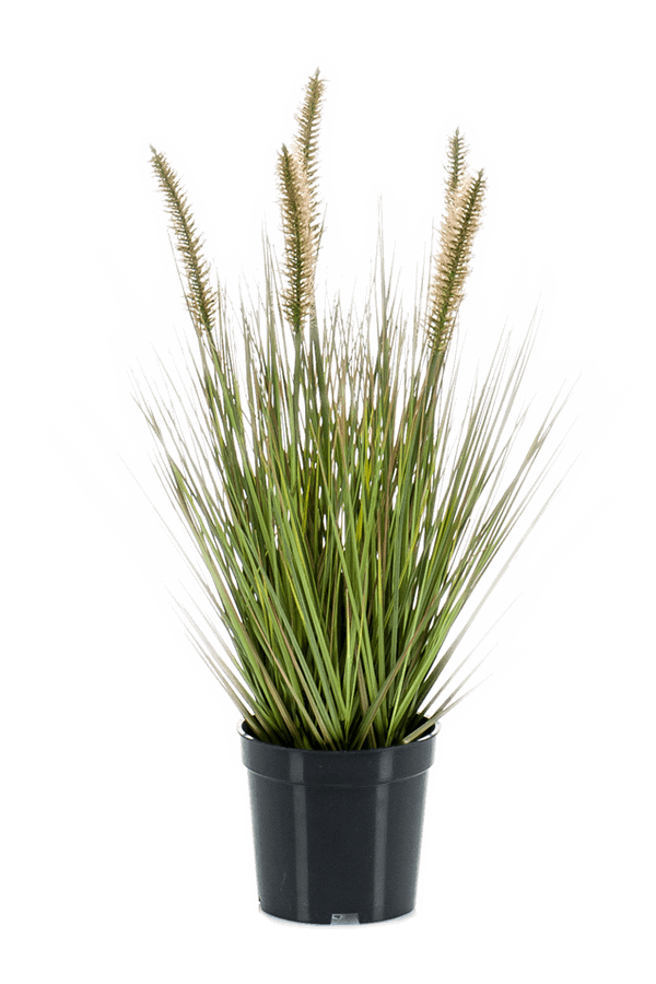 Plante artificielle Pennisetum
