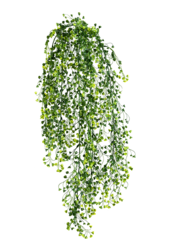 Plante artificielle Baby Tear