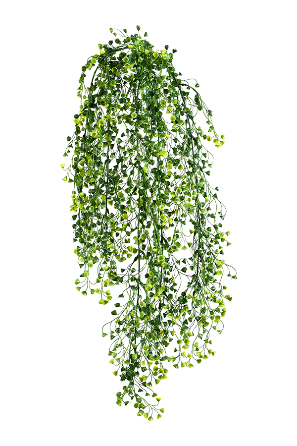 Plante artificielle Baby Tear