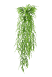 Springeri kunstplant