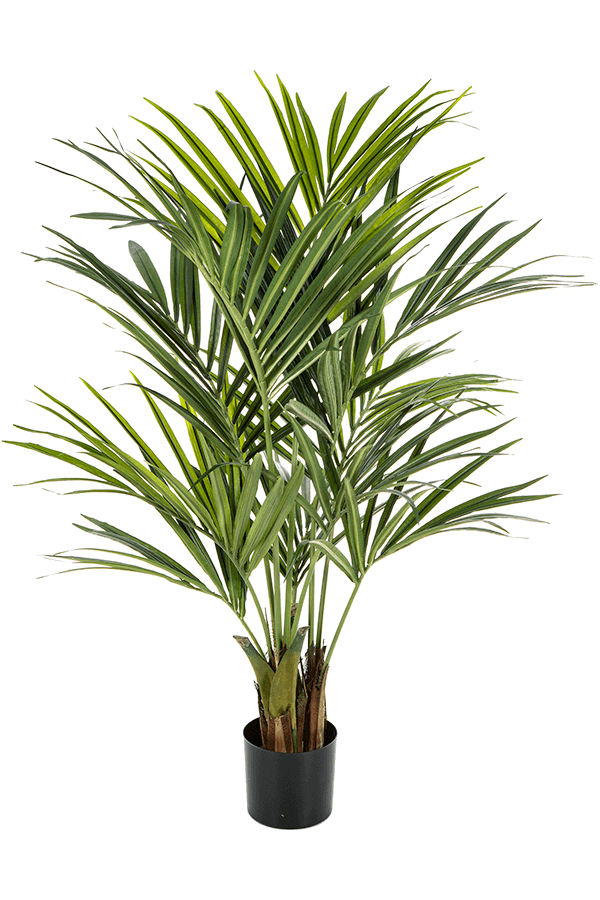 Plante artificielle Kentia
