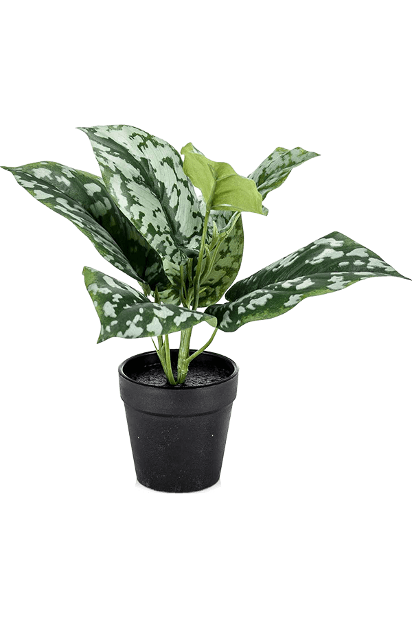 Plante artificielle Scindapsus Pictus