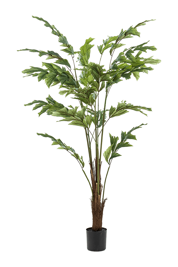 Palm Fishtail kunstplant