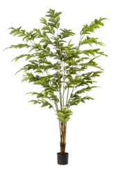 Palmier Fishtail artificiel