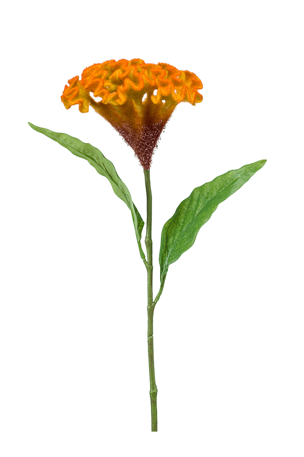Celosia kunstplant