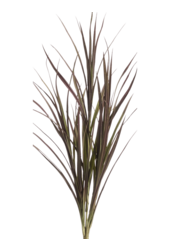 Plante artificielle herbe