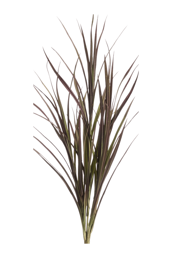 Plante artificielle herbe