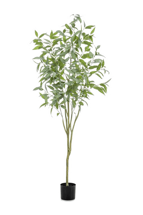 Plante artificielle Eucalyptus Globulus