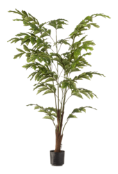 Palm Fishtail kunstplant