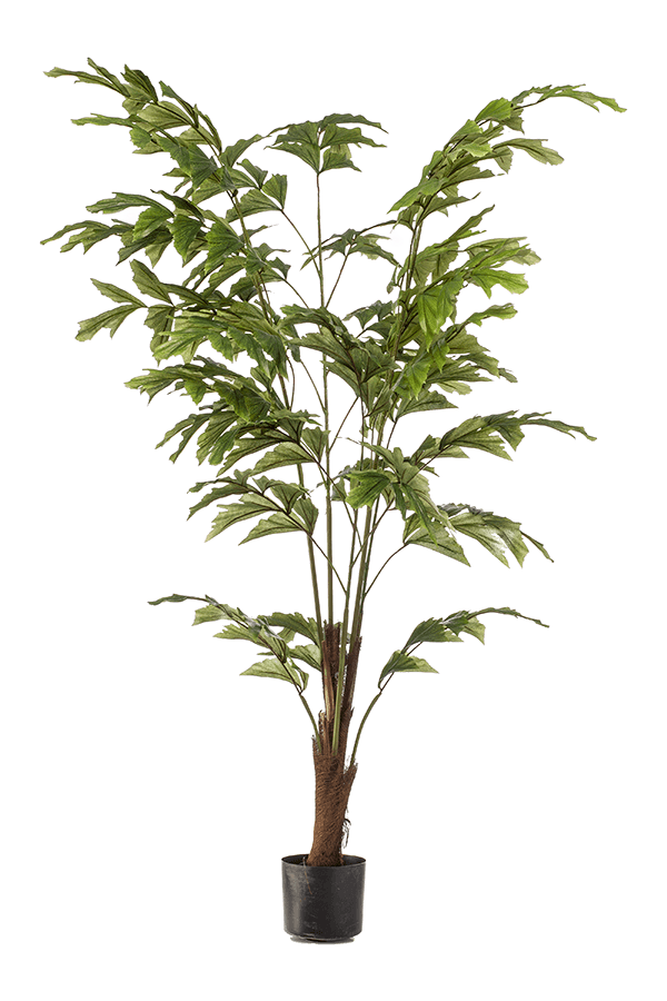 Palm Fishtail kunstplant