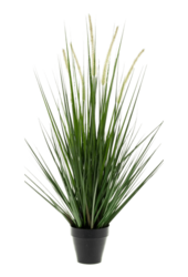 Grass Alopecurus kunstplant