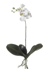Plante artificielle Phalaenopsis