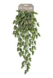 Plante artificielle de houblon