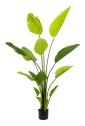 Strelitzia Nicolai kunstplant