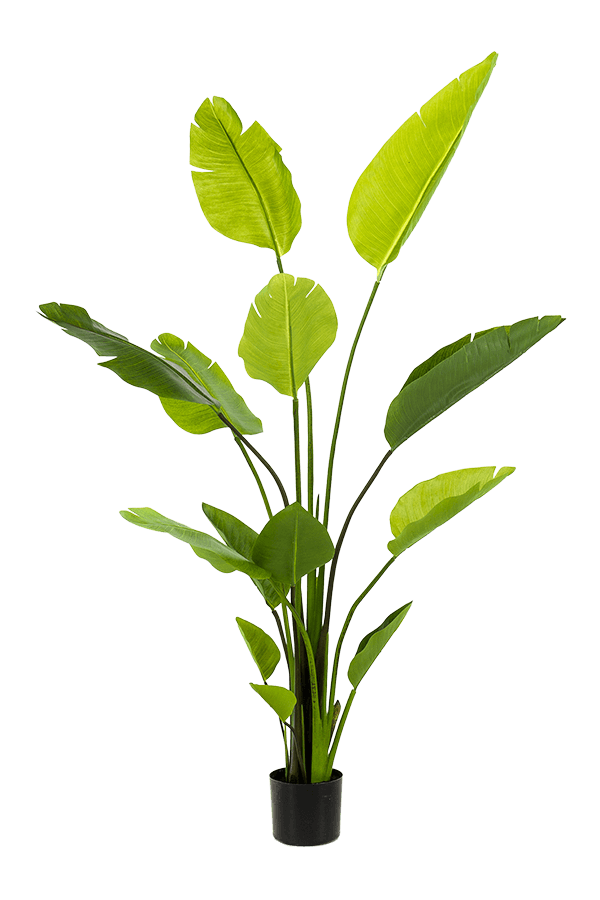 Strelitzia Nicolai kunstplant