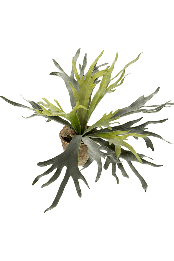 Plante artificielle Corne de cerf