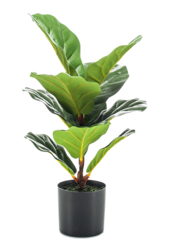 Ficus Lyrata plante artificielle