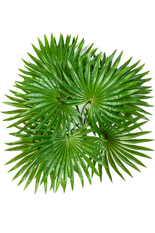 Palm kunstplant