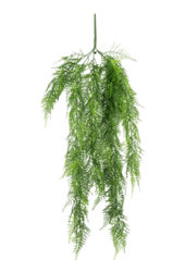 Plante artificielle Asparagus