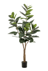 Ficus Elastica kunstplant