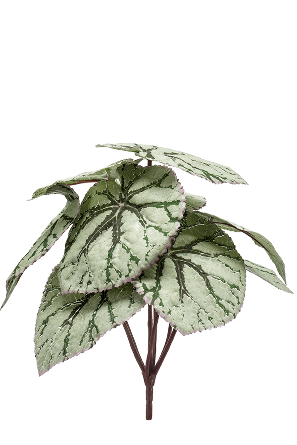 Begonia kunstplant