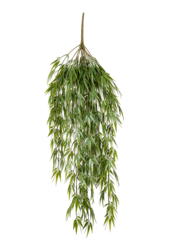 Plante artificielle bambou