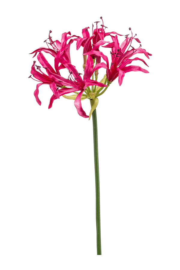 Plante artificielle Nerine