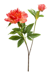 Peony Sarah kunstplant