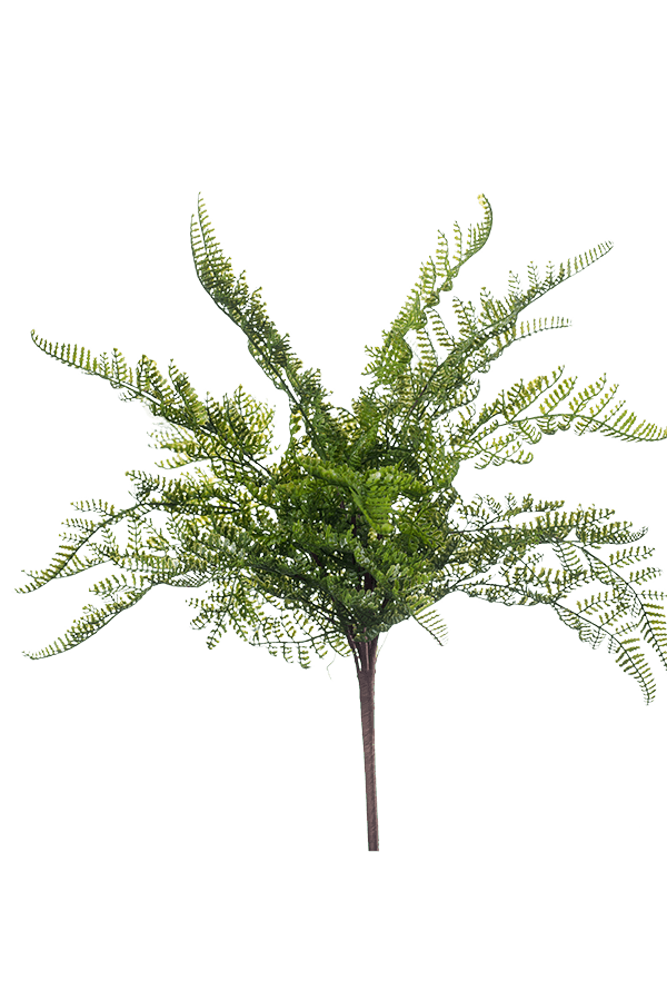 Plante artificielle Fern Forest