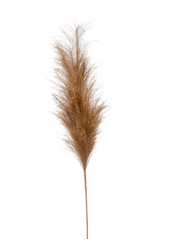 Pampas kunstplant