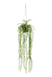 Plante artificielle Ficus Pumila