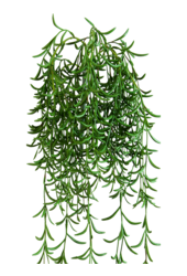 Succulent kunstplant