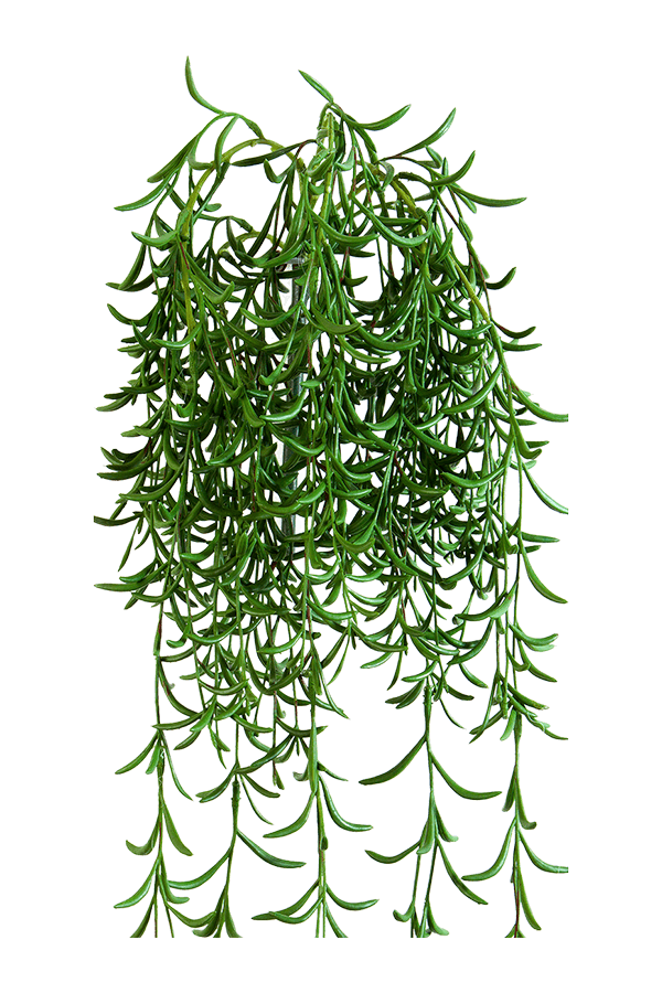 Succulent kunstplant