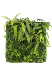 Plante artificielle Living Wall Mix