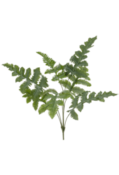 Phlebodium kunstplant