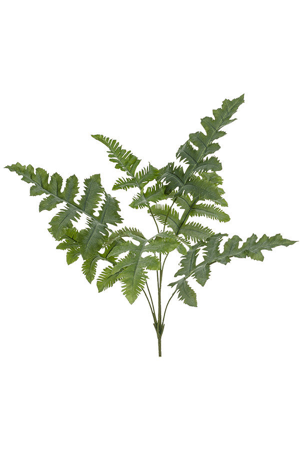Phlebodium kunstplant