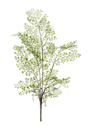 Adianthum kunstplant