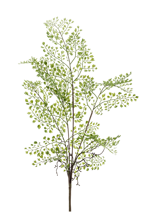 Plante artificielle Adianthum