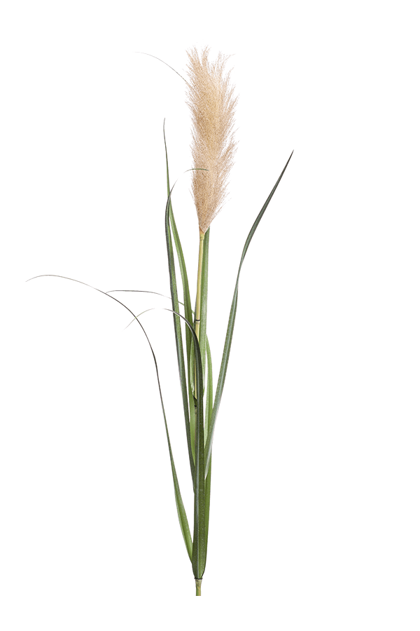 Grass Pampas kunstplant