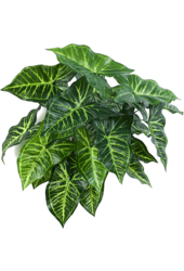 Philodendron kunstplant