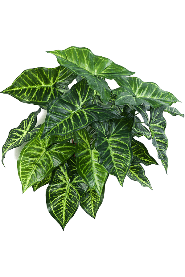 Philodendron kunstplant