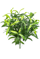 Plante artificielle Spider