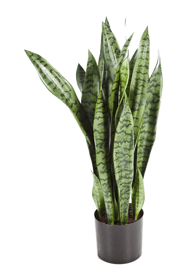 Sansevieria kunstplant