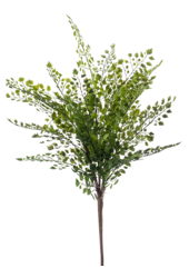 Fern Adianthum kunstplant