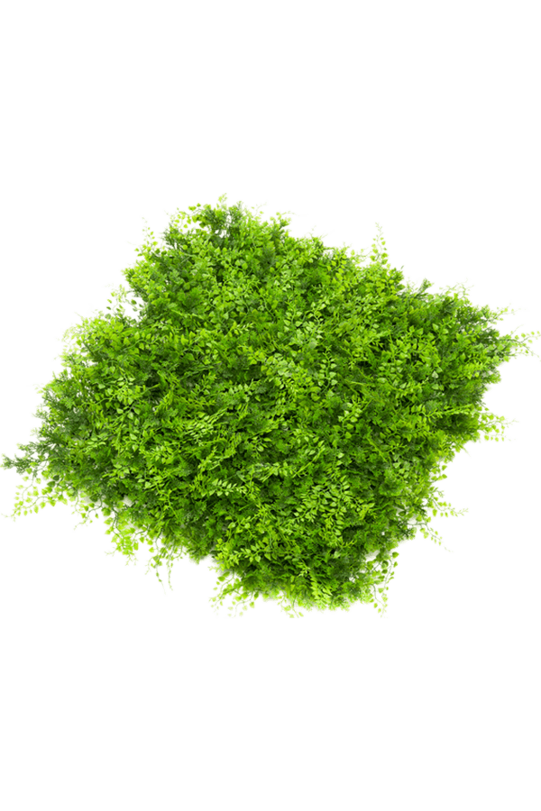 Fern Juniperus kunstplant