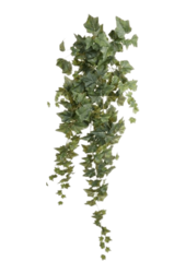 Plante artificielle lierre