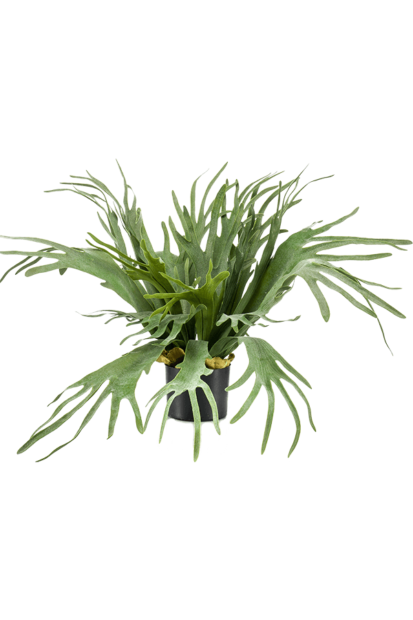 Plante artificielle Corne de cerf