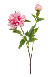 Plante artificielle Pivoine Sarah