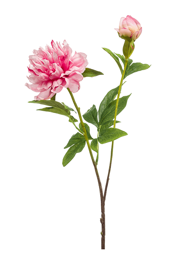 Peony Sarah kunstplant